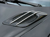Geist 307SW