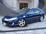 Geist 407SW Styling Kit