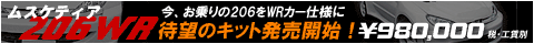 XPeBA206WRAҖ]̃Lbg̔JnI