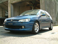 306S16N5